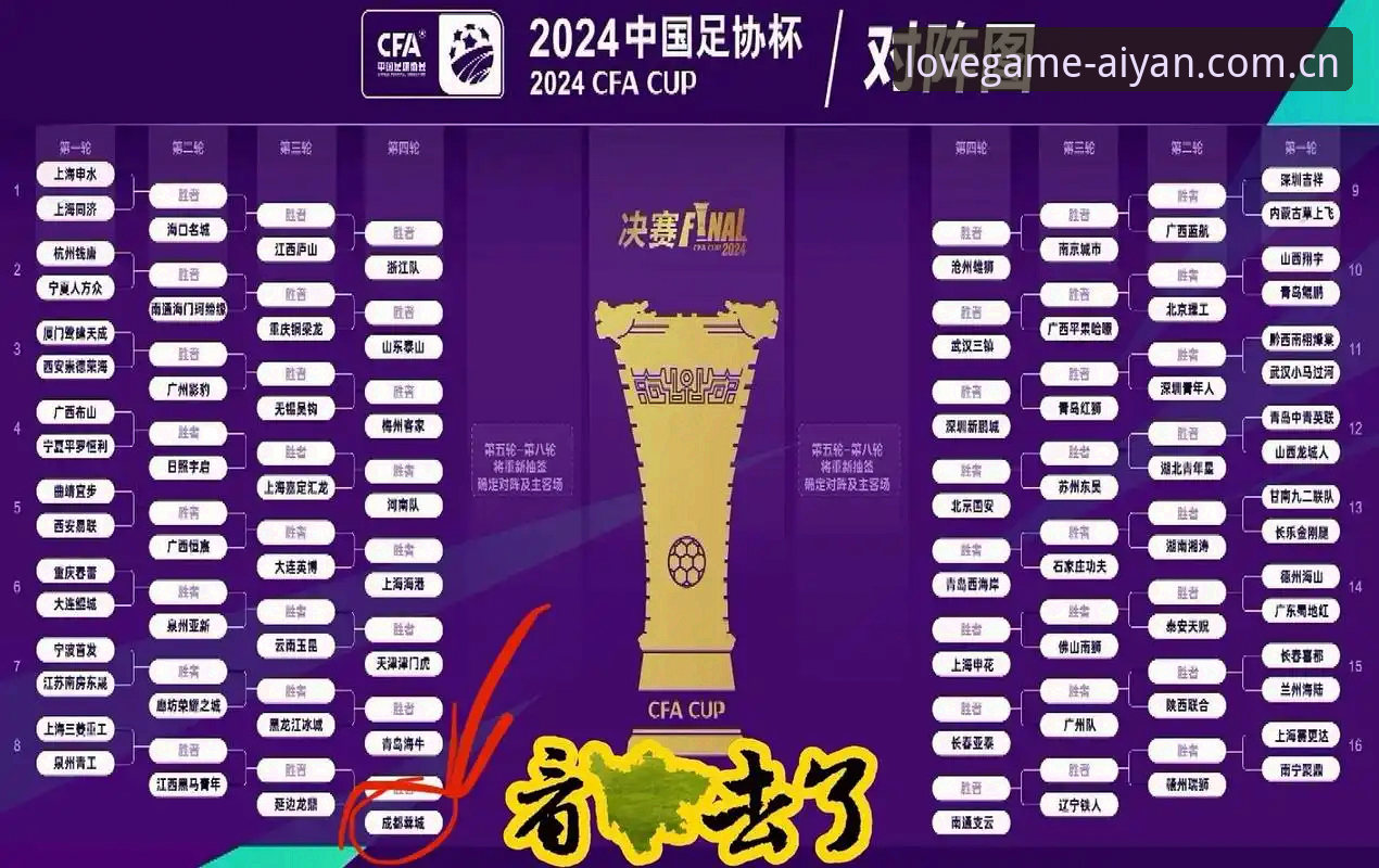 AIYAN游戏榜单 从中国足协第三批禁足名单看足球行业合规发展指南